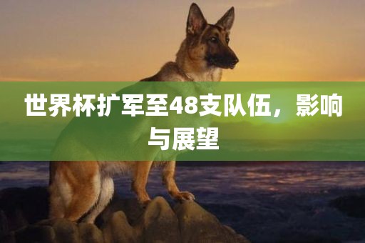 金炬实业股份有限公司世界杯扩军至48支队伍，影响与展望