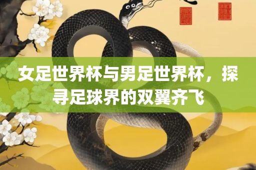 女足世界杯与男足世界杯，探寻足球界的双翼齐飞