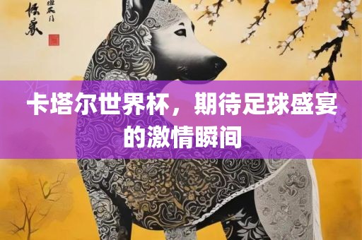 卡塔尔世界杯，期待足球盛宴的激情瞬间金炬实业股份有限公司