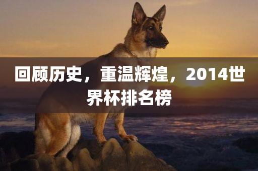 回顾历史，重温辉煌，2014世界杯排名榜金炬实业股份有限公司