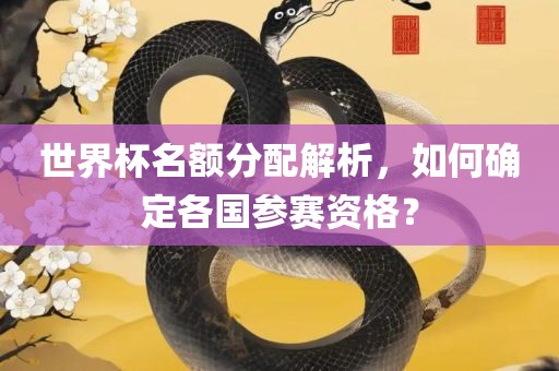 世界杯名额分配解析，如何确定各国参赛资格？