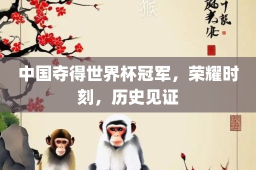 中国夺得世界杯冠军，荣耀时刻，历史见证金炬实业股份有限公司