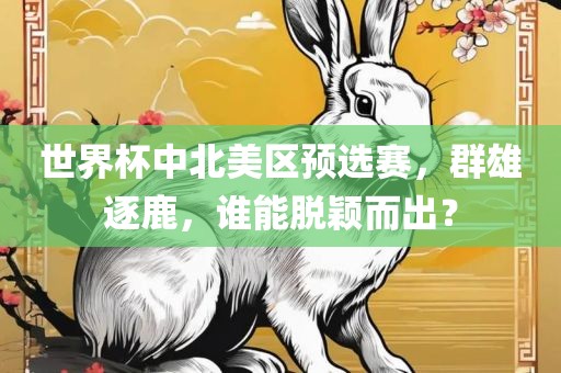 世界杯金炬实业股份有限公司中北美区预选赛，群雄逐鹿，谁能脱颖而出？