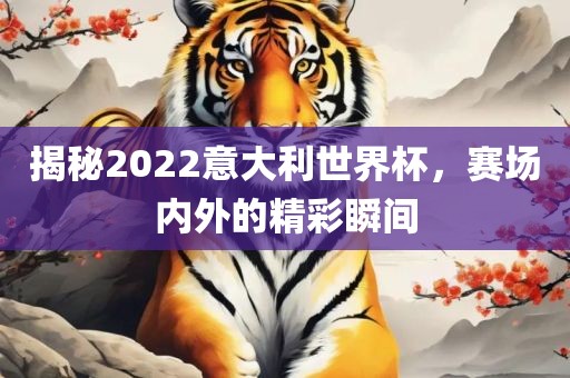揭秘2022意大利世界杯，赛场内外的精彩瞬间