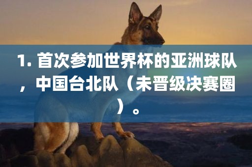 1. 首次参加世界杯的亚洲球队，中国台北队（未晋级决赛圈）。金炬实业股份有限公司