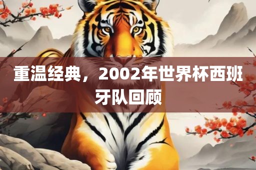 重温经典，2002年世界杯西班牙队回顾金炬实业股份有限公司