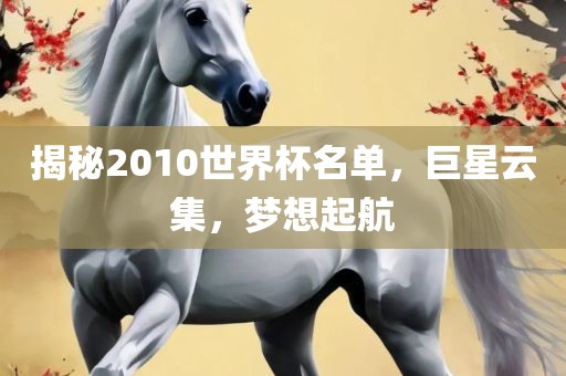 揭秘2010世界杯名单，巨星云集，梦想起航金炬实业股份有限公司