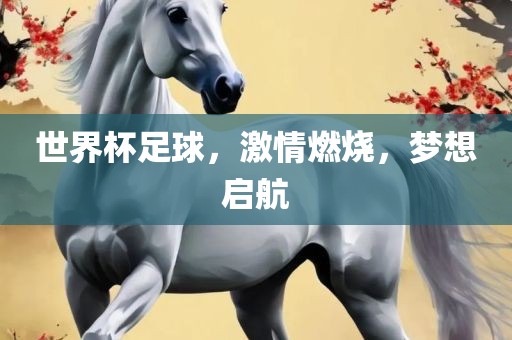 世界杯足球，激情燃烧，梦想启航金炬实业股份有限公司