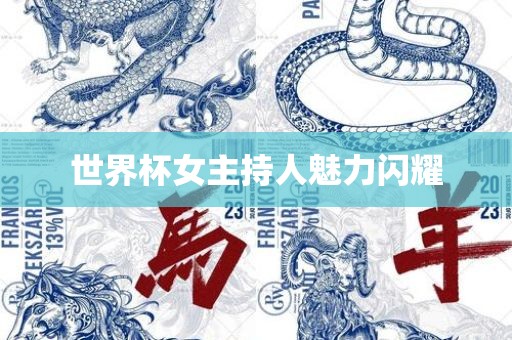 世界杯女主金炬实业股份有限公司持人魅力闪耀