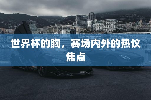 赛场热议焦点(或球场内外焦点)