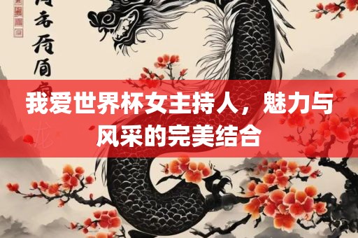 我爱世界杯女主持人，魅力与风采的完美结合