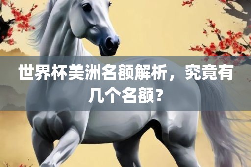 世界杯美洲名额解析，究竟有几个名额？金炬实业股份有限公司
