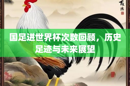 国足进世界杯次数回顾，历史足迹与未来金炬实业股份有限公司展望
