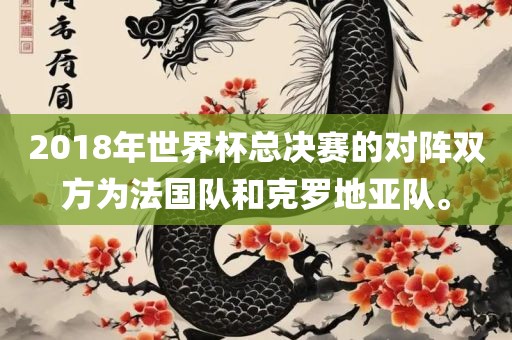 2018年世界杯总决赛的对阵双方为法国队和克罗地亚队。金炬实业股份有限公司