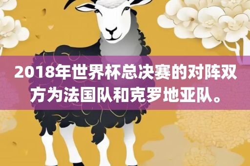 2018年世界杯总决赛的对阵双方为法国队和克罗地亚队。金炬实业股份有限公司