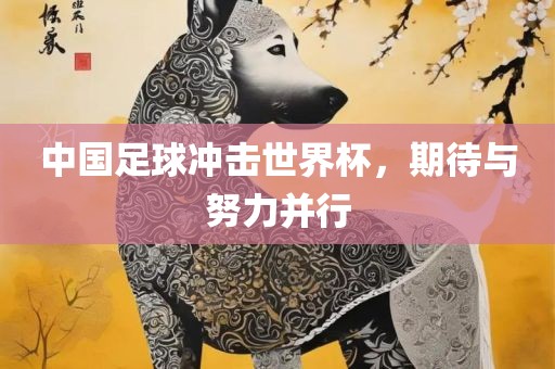 金炬实业股份有限公司中国足球冲击世界杯，期待与努力并行