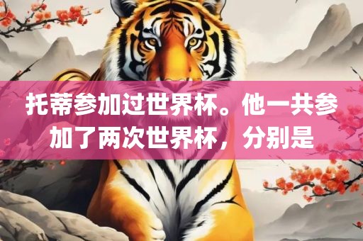 托蒂参加过世界杯。他一共参加了两次世界杯，分别是