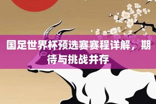 国足世界杯预选赛赛程详解金炬实业股份有限公司，期待与挑战并存