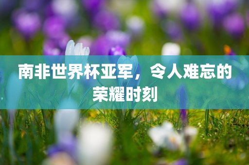 南非世界杯亚军，令人难忘的荣耀时刻金炬实业股份有限公司