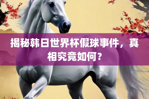 揭秘韩日世界杯假球事件，真相究竟如何？金炬实业股份有限公司