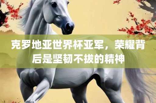 克罗地亚世界杯亚军，荣耀背后是坚韧不拔的精神金炬实业股份有限公司