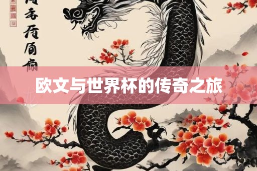 欧文与世界杯的传奇之旅金炬实业股份有限公司