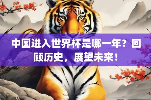 中国进入世界杯是哪一年？回顾历史，展望未来！金炬实业股份有限公司