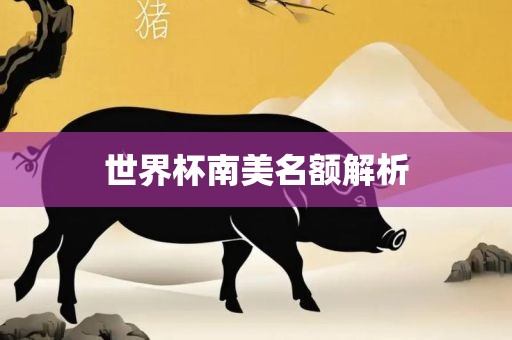 世界杯南美名额解析金炬实业股份有限公司