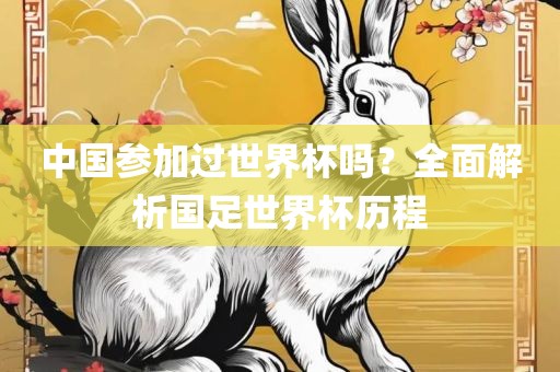 中国参加过世界杯吗？全面解析国足金炬实业股份有限公司世界杯历程