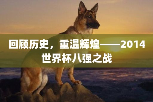 回顾历史，重温辉煌——2014世界杯八强之战金炬实业股份有限公司