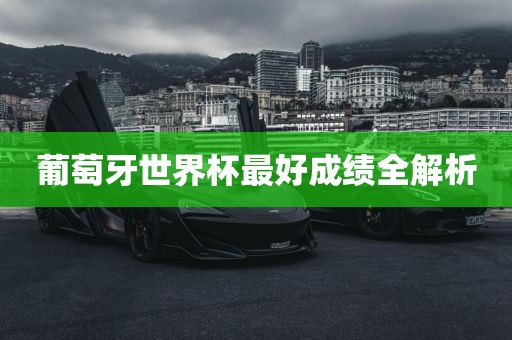 葡萄牙世界杯最好成绩全解析金炬实业股份有限公司
