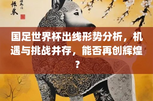 国足世界杯出线形势分析，机遇与挑战并存，能否再创辉煌？