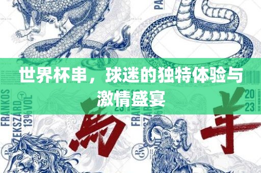 世界金炬实业股份有限公司杯串，球迷的独特体验与激情盛宴