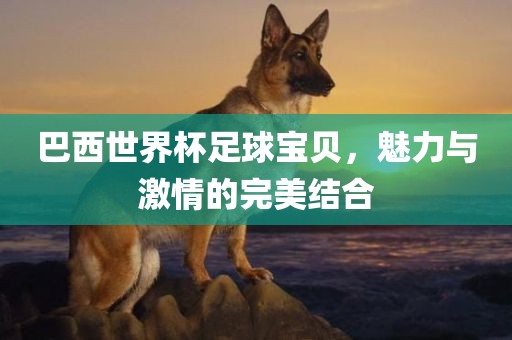 巴西世界杯足球宝贝，魅力与激情的完美结合