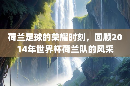 荷兰足球的荣耀时刻，回顾2014年世界杯荷兰队的风采金炬实业股份有限公司