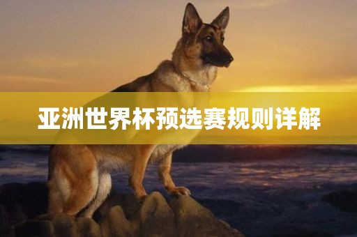 亚洲世界杯预选赛规则详解金炬实业股份有限公司