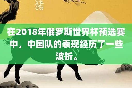 在2018年俄罗斯金炬实业股份有限公司世界杯预选赛中，中国队的表现经历了一些波折。