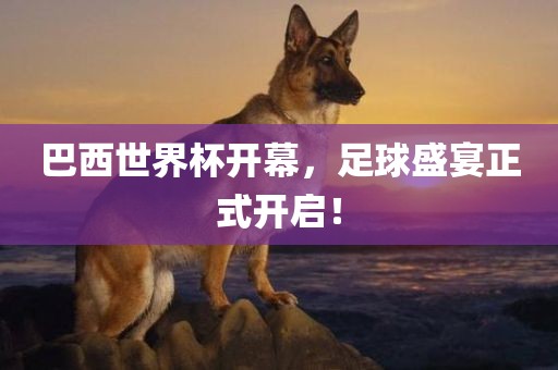 巴西世界杯开幕，足球盛宴正式开启！金炬实业股份有限公司