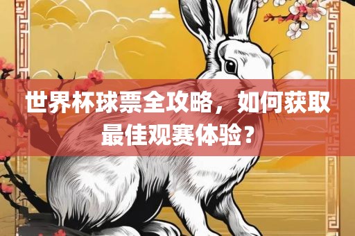 世界杯球票全攻略，如何获取最佳观赛体验？