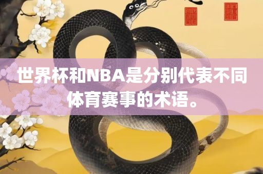 世界杯和NBA是分别代表不同体育赛事的术语。