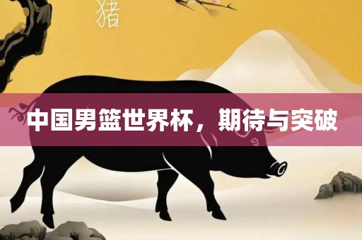 中国男篮世界杯，期待与突破