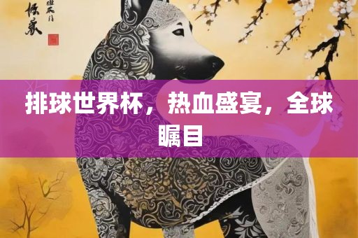 排球世界杯，热血盛宴，全球瞩目