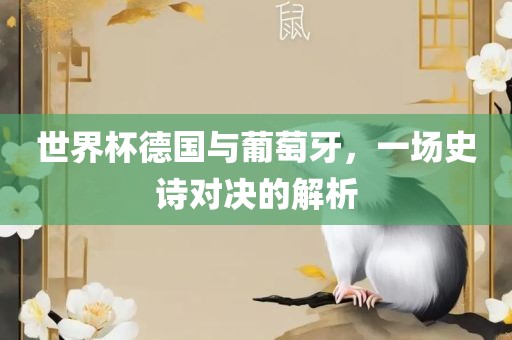 世界杯德国与葡萄牙，一场史诗对决的解析