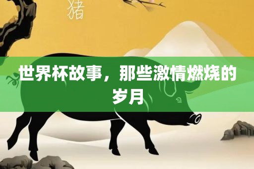 世界杯故事，那些激情燃烧的岁月