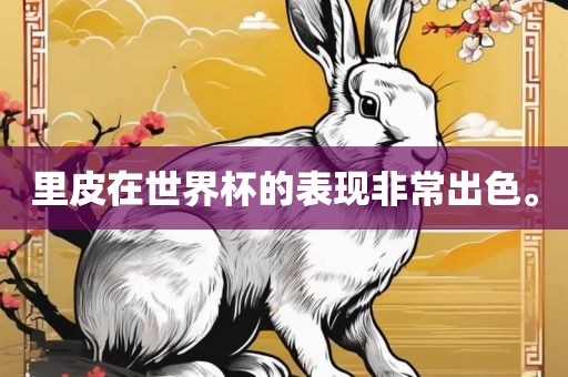 里皮在世界杯的表现非常出色。