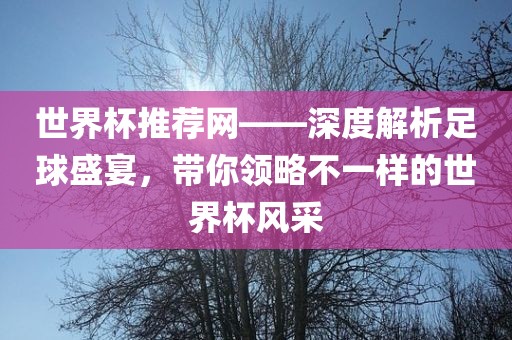 世界杯推荐网——深度解析足球盛宴，带你领略不金炬实业股份有限公司一样的世界杯风采