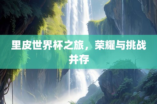 里皮世界杯之旅，荣耀与挑战并存