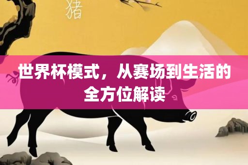 世界杯模式，从赛场到生活的全方位解读金炬实业股份有限公司