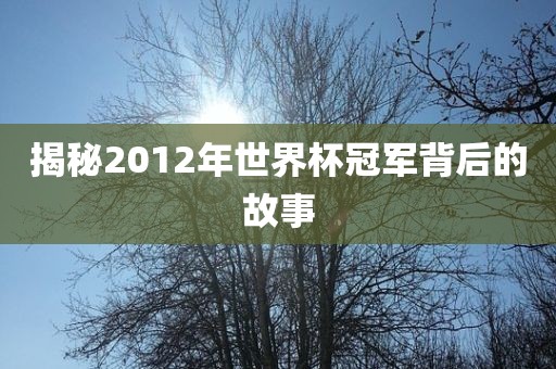 揭秘2012年世界杯冠军背后的故事