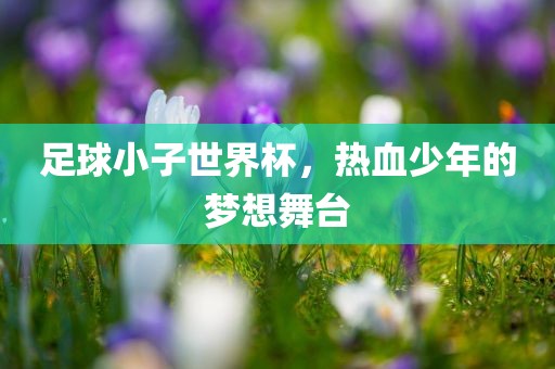 足球小子世界杯，热血少年的梦想舞台